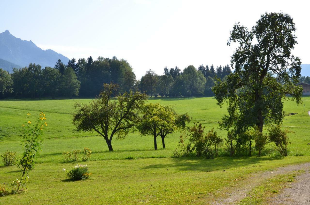 Naturresort Fischergut - Lodge Wolfgangthal Saint Wolfgang Εξωτερικό φωτογραφία